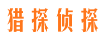 正阳市调查公司